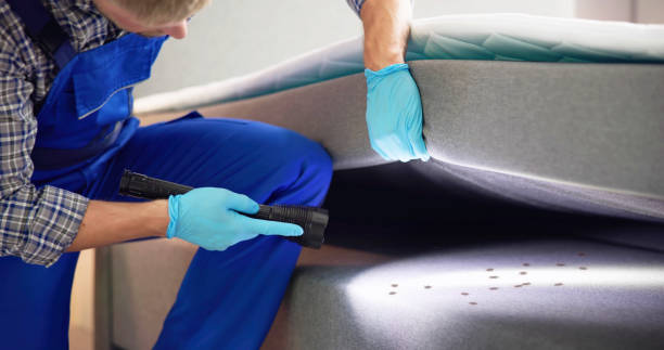 Best Flea Control Services  in Vevay, IN