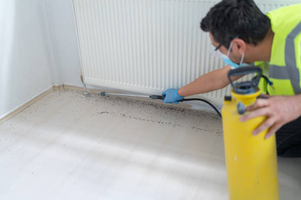 Best Commercial Pest Control Services  in Vevay, IN