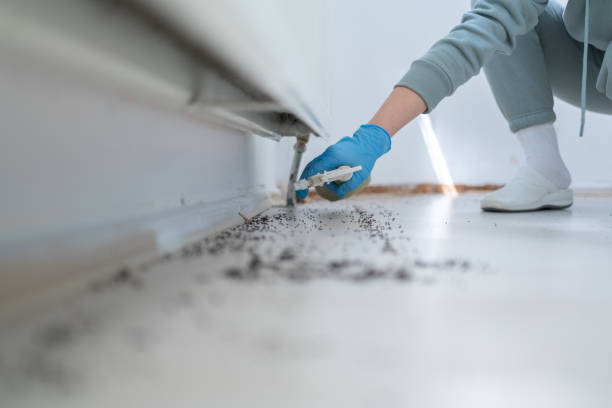 Best Pest Prevention Services  in Vevay, IN