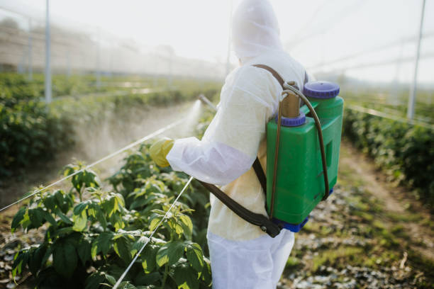Best Affordable Pest Control Services  in Vevay, IN